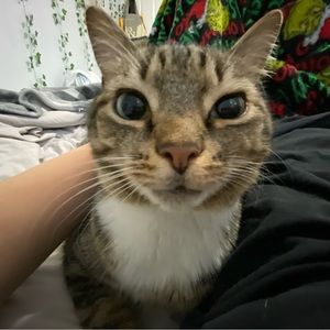 Meet your Posher, Kate